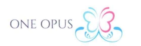 ONE OPUS INTERNATIONAL LLC Logo
